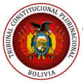 SENTENCIA CONSTITUCIONAL PLURINACIONAL 0935/2021-S4